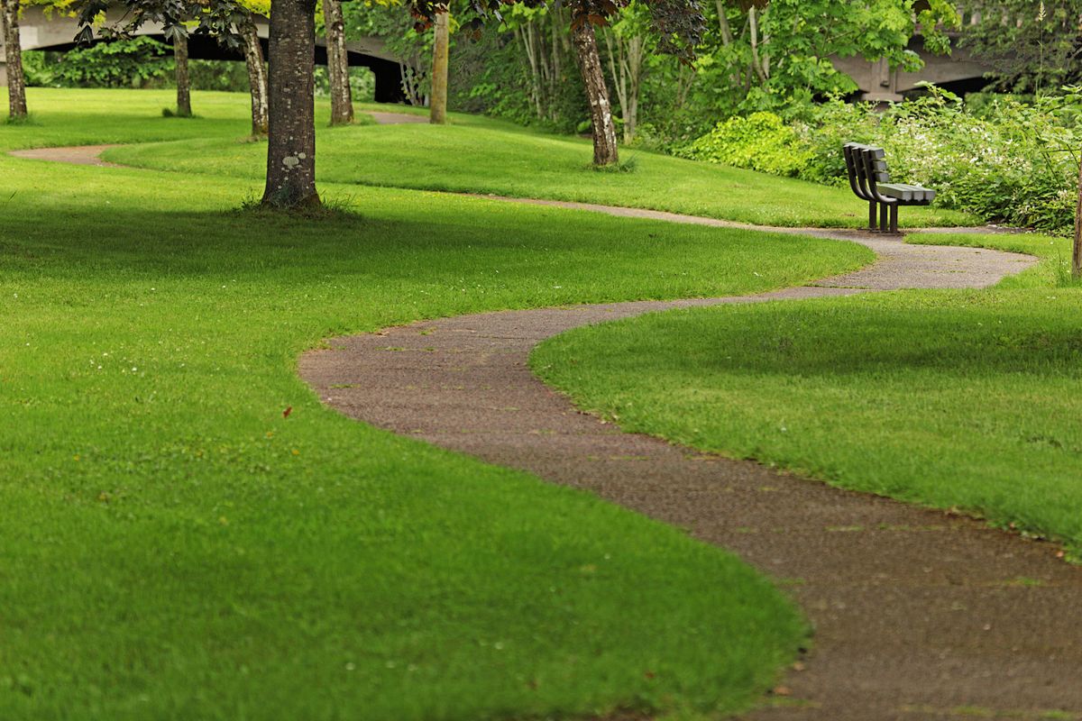 A winding sidewalk in a park.